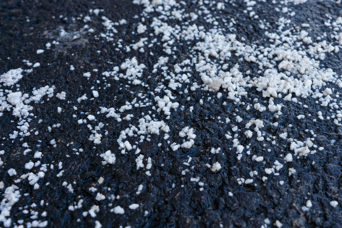 Гранулы Бионорд