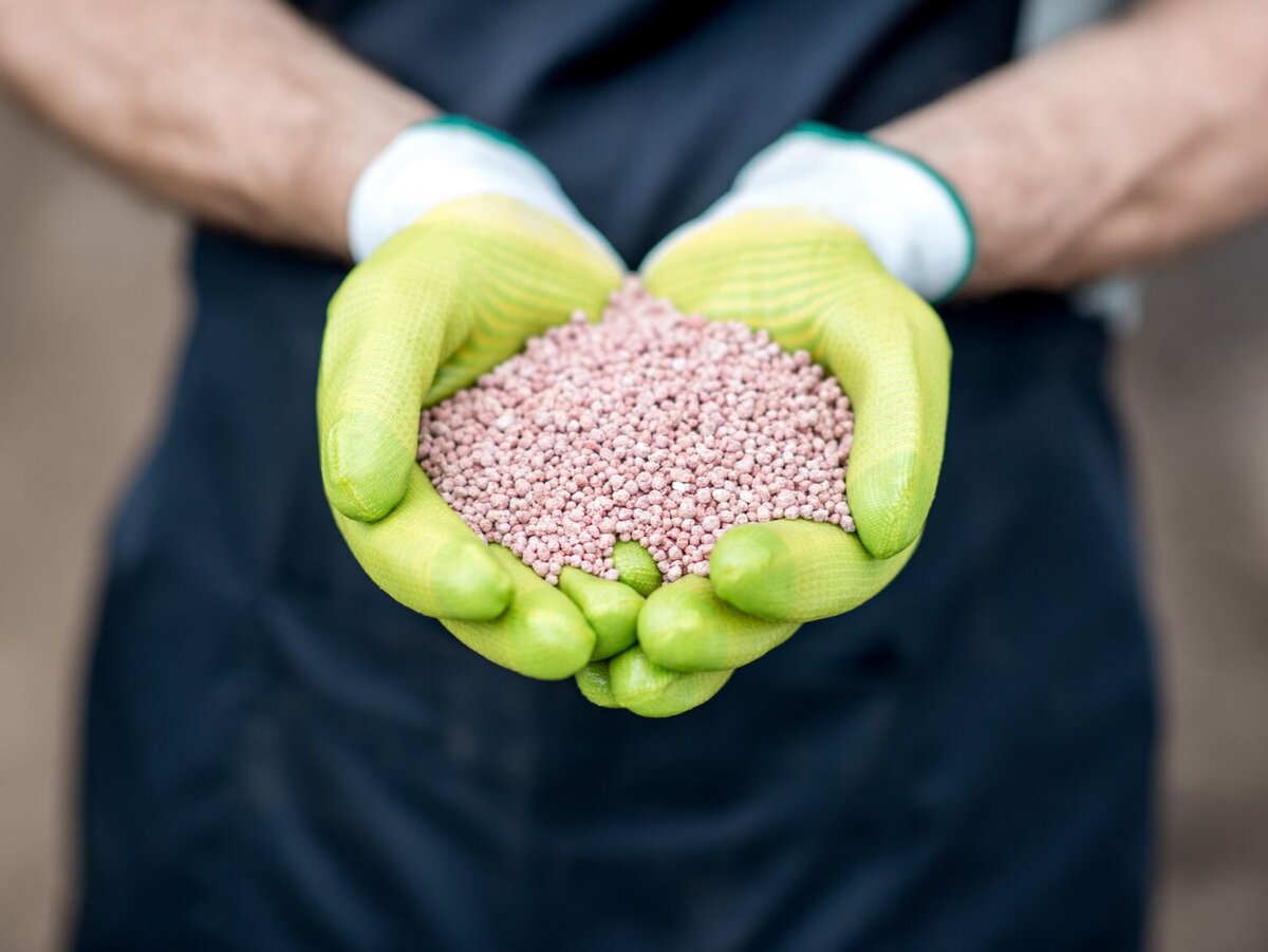 Фото: bhs-sonthofen.com