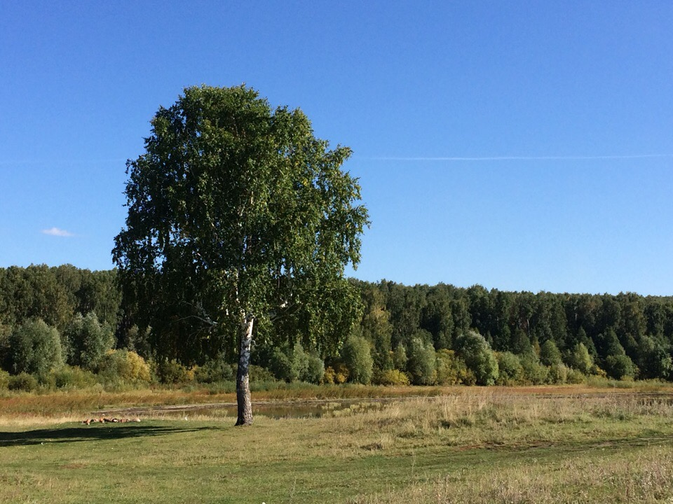 Фото  Киселёвой Тамары 