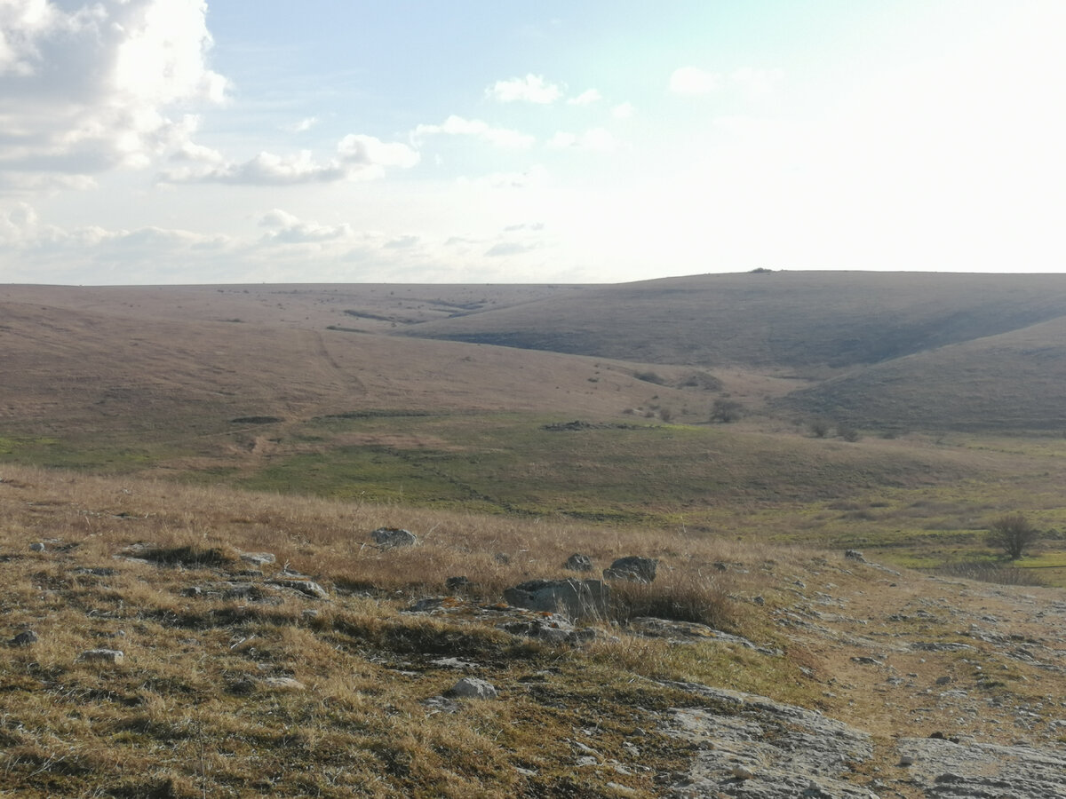 Балки на Кипчаке. Красота!