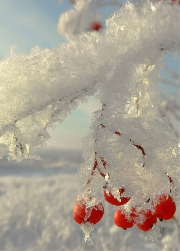 Фото: источник Яндекс.