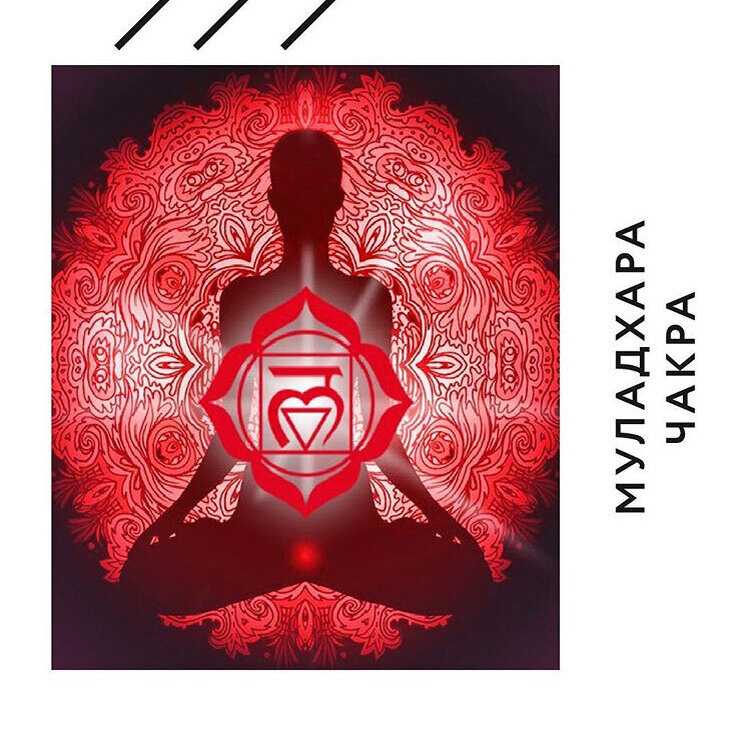 санскр. मूलाधार, IAST: mūlādhāra: IAST: mūla — «корень», «основа»; IAST: adhāra — «фундамент», «базис», «опора». Чакра, расположенная в области промежности рядом с половыми органами («Двумя пальцами выше ануса, двумя пальцами ниже лингама (пениса), на четыре пальца в ширину»[22]). Считается, будто что от муладхары отходят самые главные нади (сушумна, ида и пингала)[23], а сама она является обителью Кундалини-шакти (рассматриваемой одновременно как богиня и энергия)[3].
Символически изображается в виде малинового (согласно «Вивека-мартанде» — золотого[24]) лотоса с четырьмя лепестками и санскритскими буквами IAST: va, śa, ṣa, sa на них. В центре лотоса — жёлтый квадрат (эмблема элемента «земля») с биджа-мантрой (то есть семенной мантрой) laṃ, в который вписан треугольник с вершиной, направленной вниз, — символ йони, называемый камарупа. В центре треугольника — сваямбхулингам («самовозникший», «никем не созданный» лингам), которого обвивает свёрнутая в три с половиной оборота спящая змея-Кундалини, светящаяся, как «яркая вспышка юной молнии», и закрывающая своим ртом вход в сушумну[25][26].
«Мудрый йогин, постоянно концентрирующийся на муладхаре, приобретает дардури-сиддхи („силу прыжка лягушки“). Постепенно он сможет оставить землю (и подниматься в воздух). Тело становится мощным, приходит свобода от болезней, одарённость и вездесущность. Йогин знает своё прошлое, настоящее, будущее и их причины. Он овладел неведомыми науками и <…> приобретает успех в мантрах»[27]. Другие следствия медитации на муладхаре — совершенство речи[28] и обретение счастья[24].
В шактистской тантрической традиции Шри Видья муладхара соотносится с основанием (квадратом, бхупуром) или же центром Шри Янтры[23].