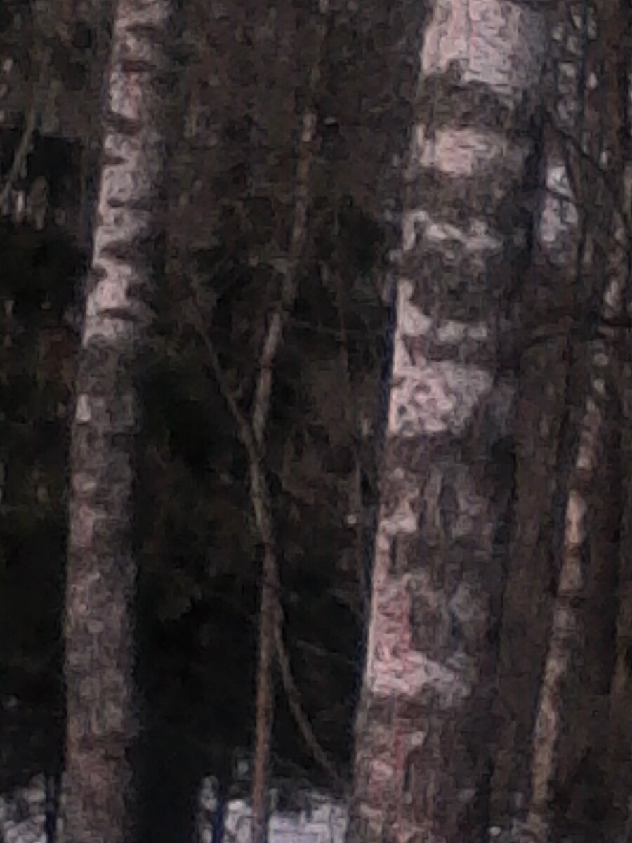 Такие места не часто встретишь.