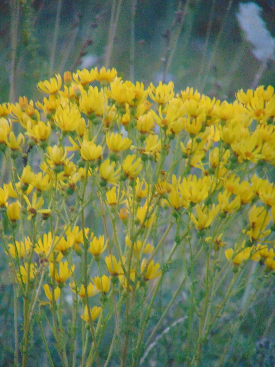 Фото автора канала