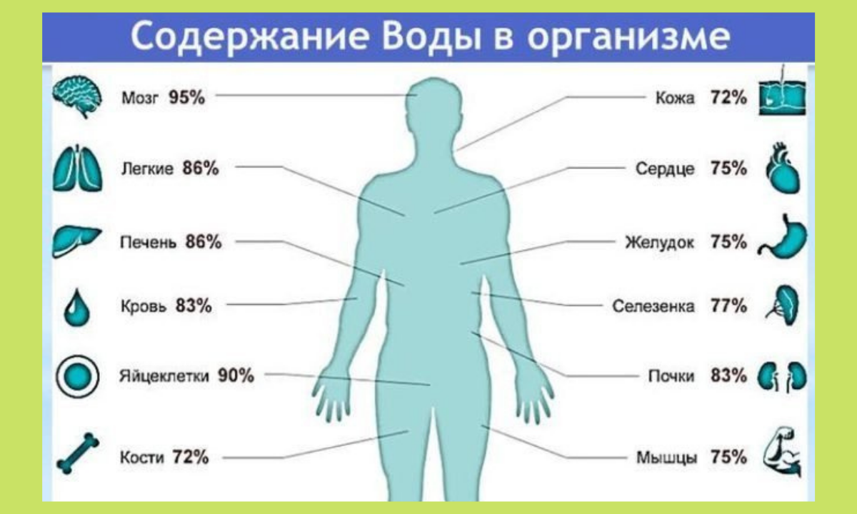 Вода в организме играет роль. Сколько процентов воды в организме человека. На сколько процентов человек состоит из воды. Сколько процентов воды в теле человека. Сколько процентов воды в человеке.