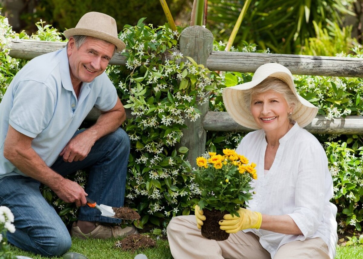 Фото 1 - дачная жизнь 