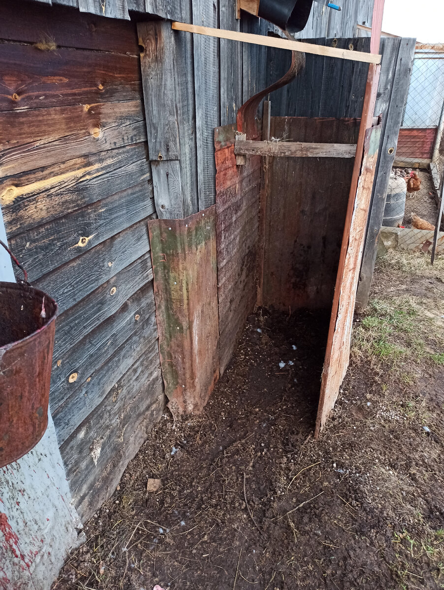 Это навозосборник, он был полный и мешал процессу забоя. Поэтому нужно его было очистить. 