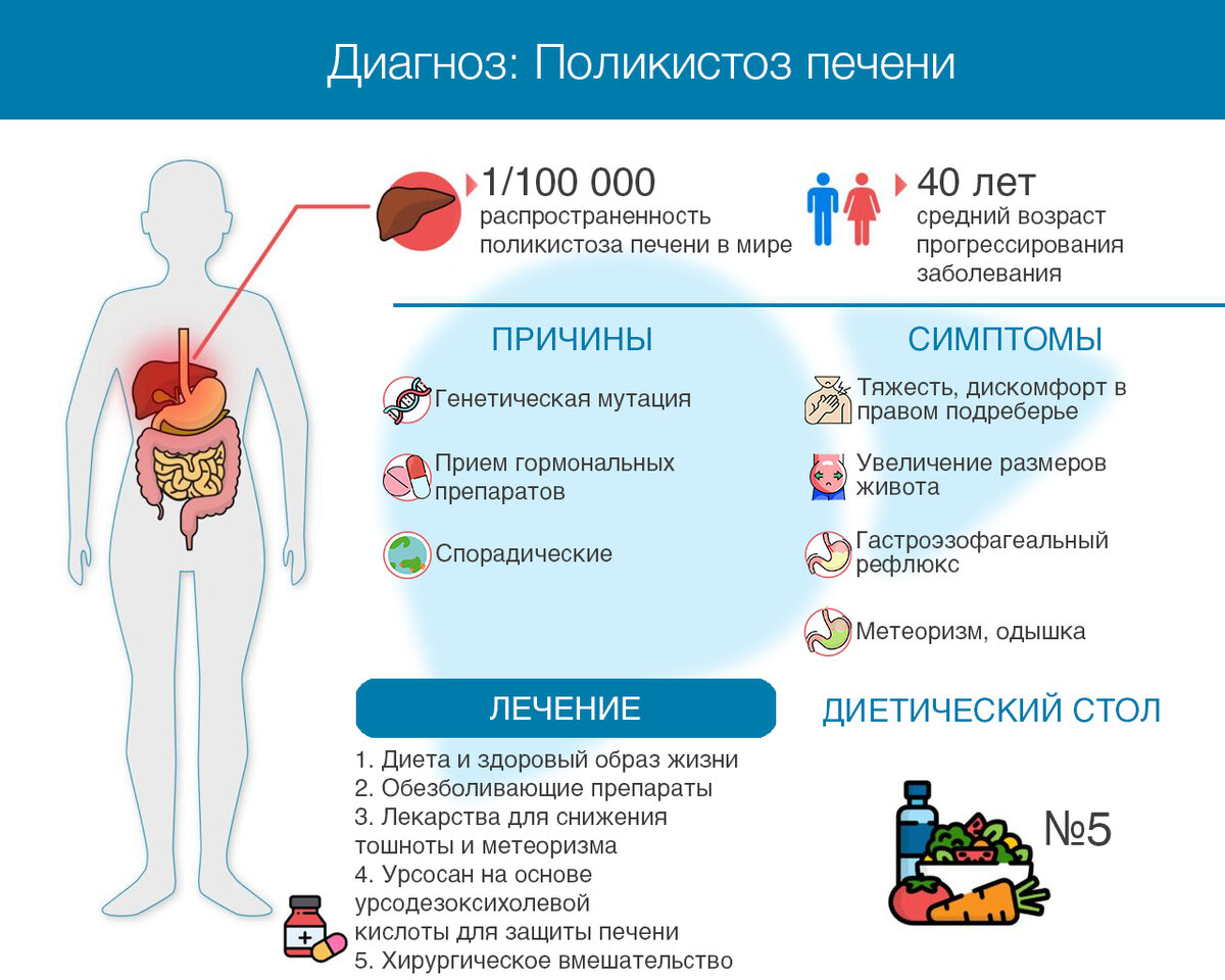 Поликистоз печени | Все о печени | Дзен