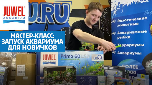 Мастер класс по запуску аквариума JUWEL Primo 60 🐟