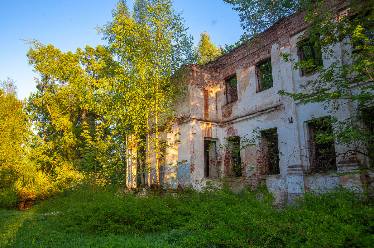 Руины усадьбы Борок. Главный дом, детали. Село Большой Борок, Кувшиновский район Тверской области. Фото автора статьи  