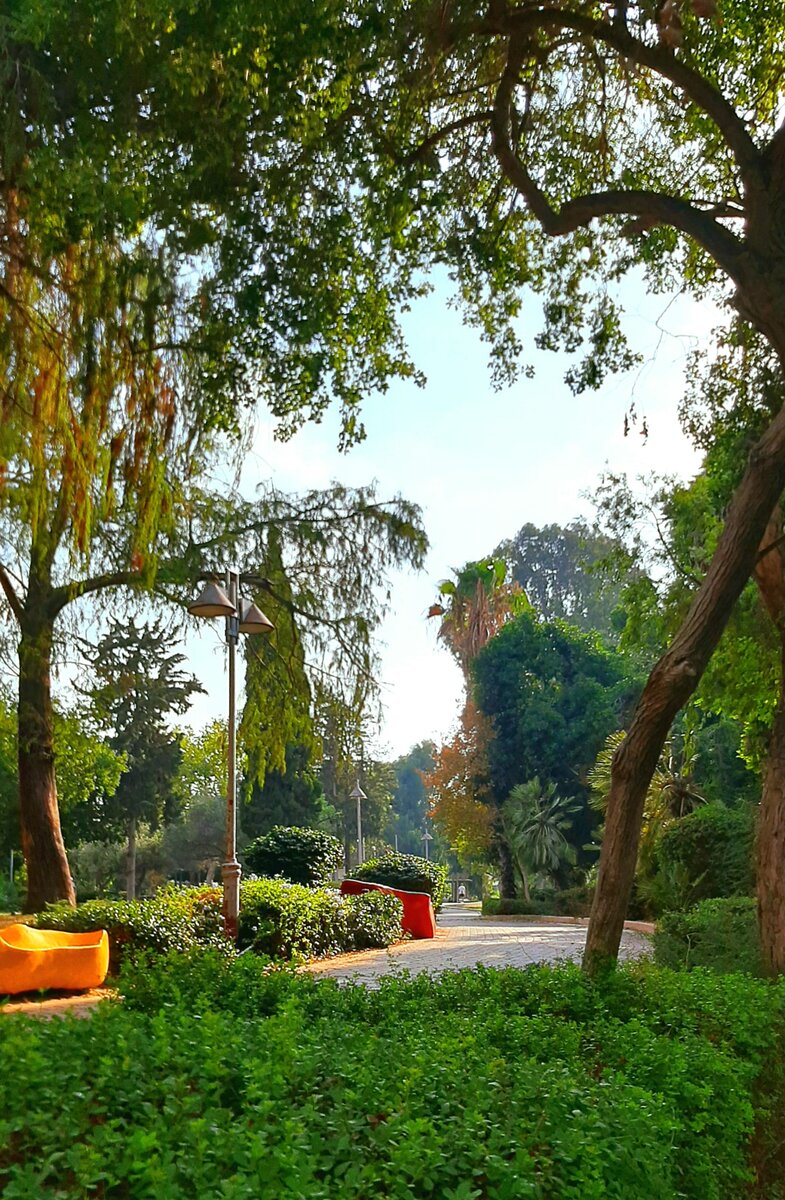 Парк в Холоне