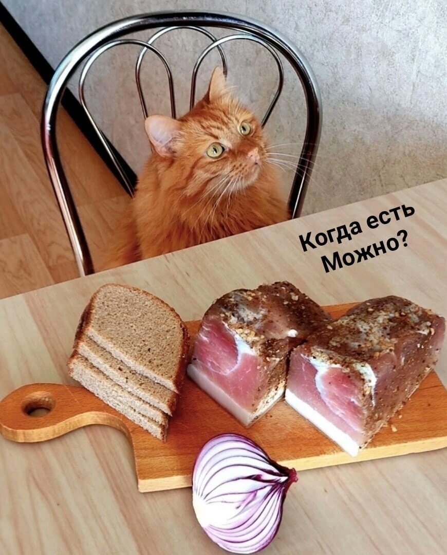 иллюстрация из яндекс картинки.