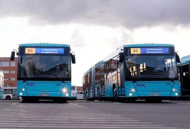 В голубых автобусах оплата наличными исчезла раньше всех