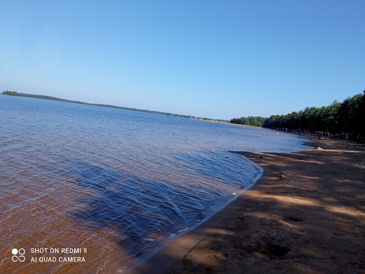 Сямозеро цвет воды коричневый почему