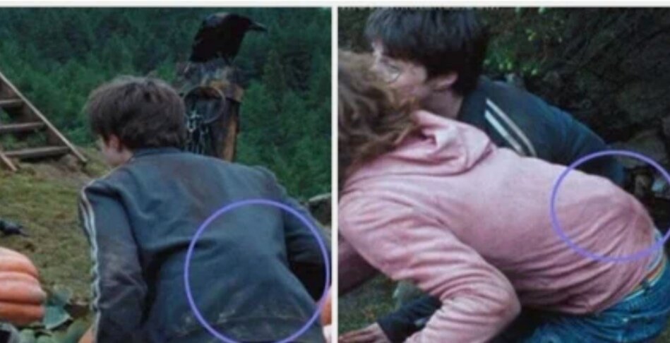 На спинах какие-то выступающие части. 