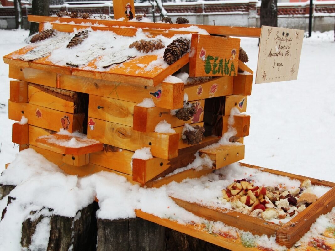    Фото Михаила Алёнина в группе Новости Рязани ВКонтакте