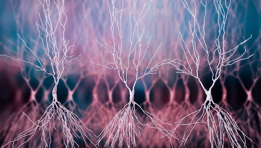 Kateryna Kon // shutterstock.com