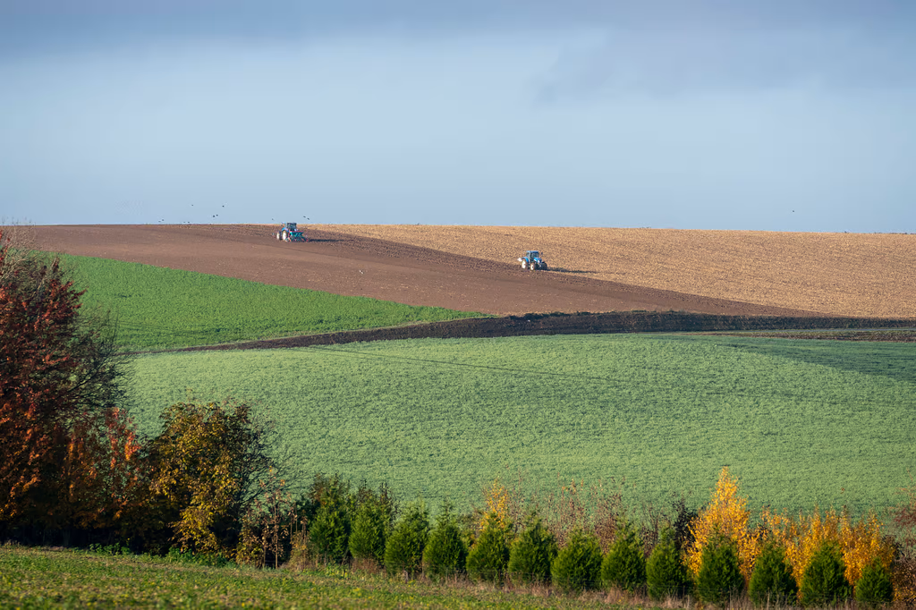 Источник фото: BARTOSZ BRZEZINSKI / politico.eu