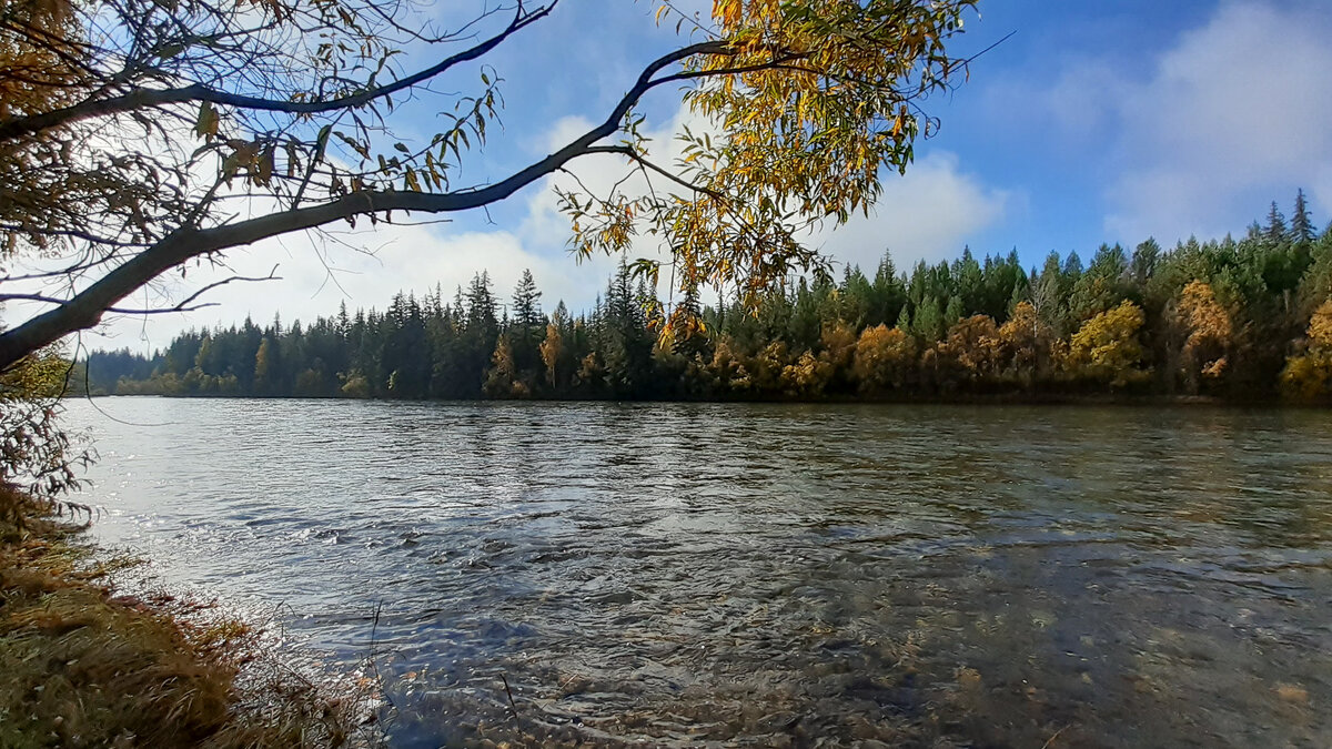 Река Лена...