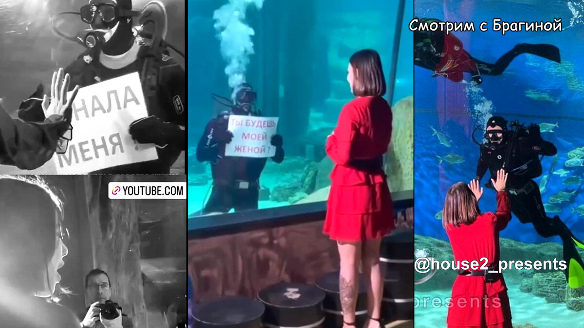 Михаил Козлов сделал предложение руки и сердца Алёне Опенченко, инстаграм