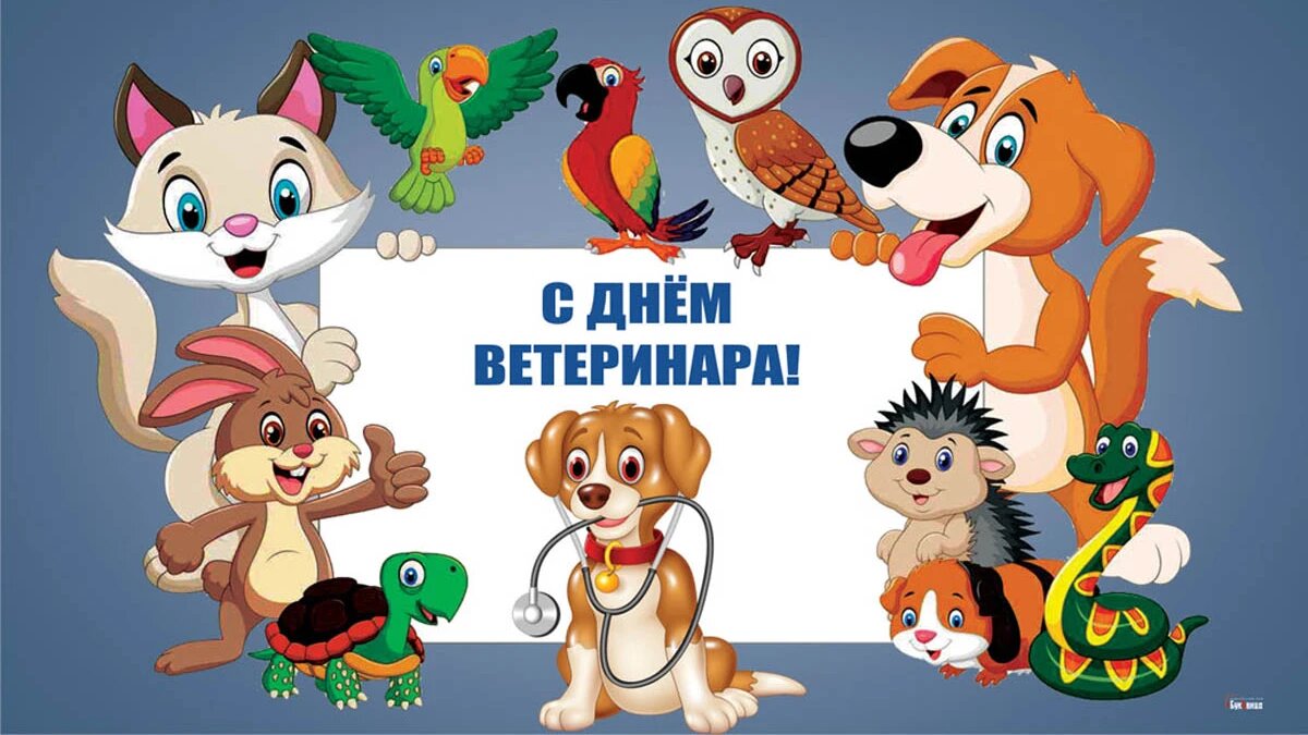 День ветеринара. Иллюстрация: «Весь Искитим»