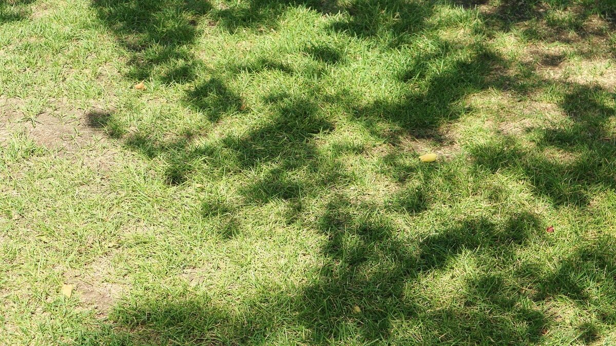     Прокуратура выявила нарушение сроков исполнения госконтракта по нацпроекту и приняла меры.