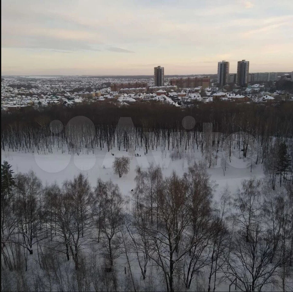 Казань Ноксинский Лес Зимой Рай