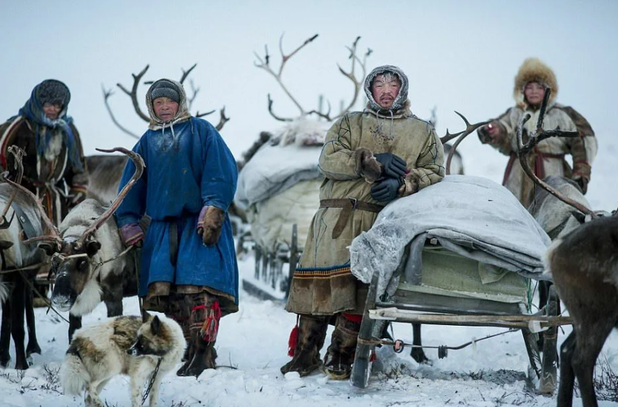 Жизни народов. Ненцы-оленеводы кочевье. Ненцы народ оленеводы. Народы севера ненцы. Ненцы эндоэтноним.