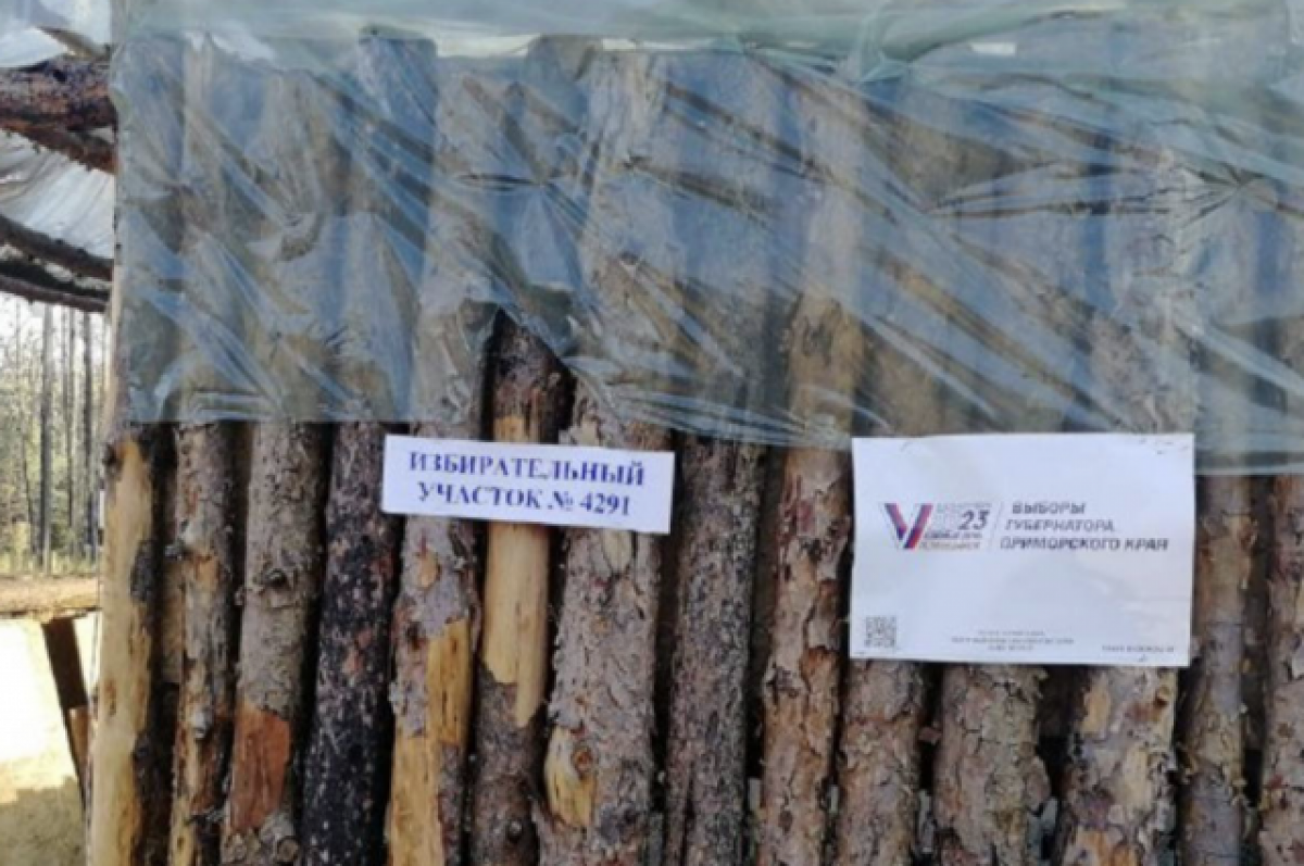    Участники СВО проголосовали на выборах губернатора Приморья