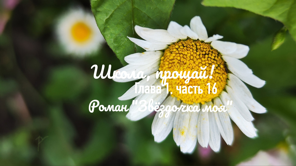 Школа прощай халдина