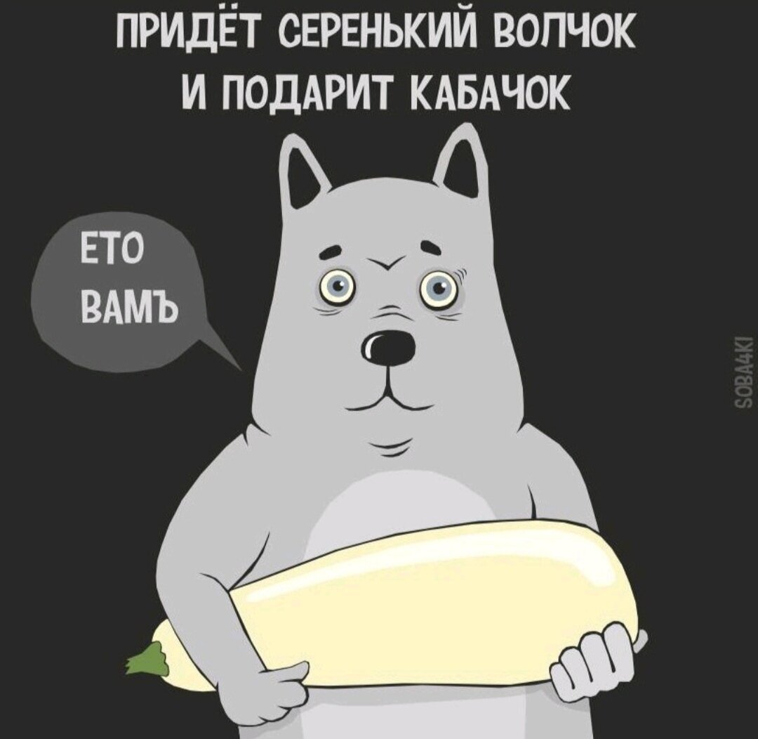 картинка из интернета