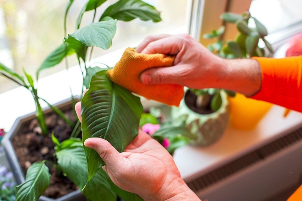    Фото: elements.envato.com