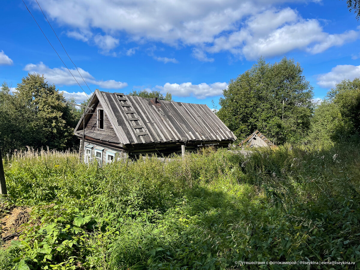 Что осталось внутри заброшенного и заросшего травой дома в глухой ...