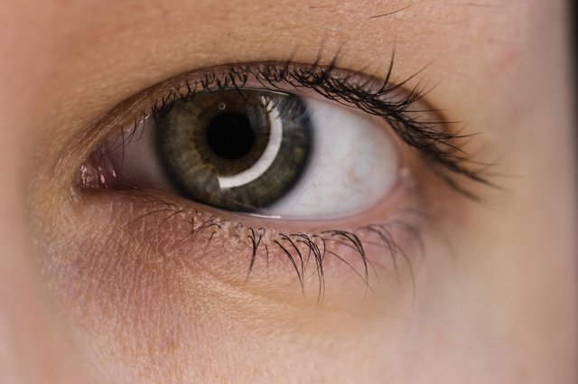    Правда ли, что по радужной оболочке глаз можно распознать болезни?