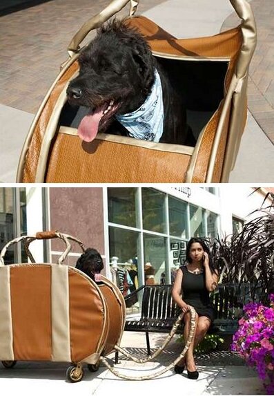 Источник фото: https://novate.ru/files/u30770/big-dog-purse.jpg