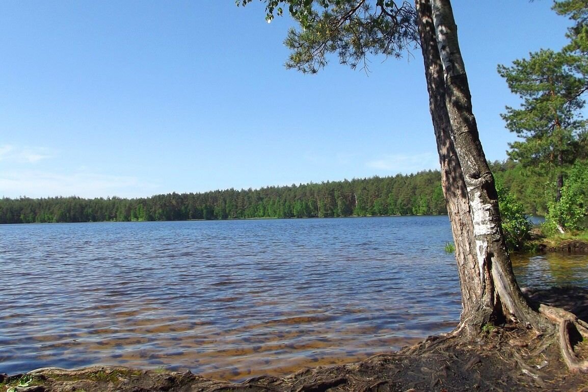 озеро ласковое рязанская область