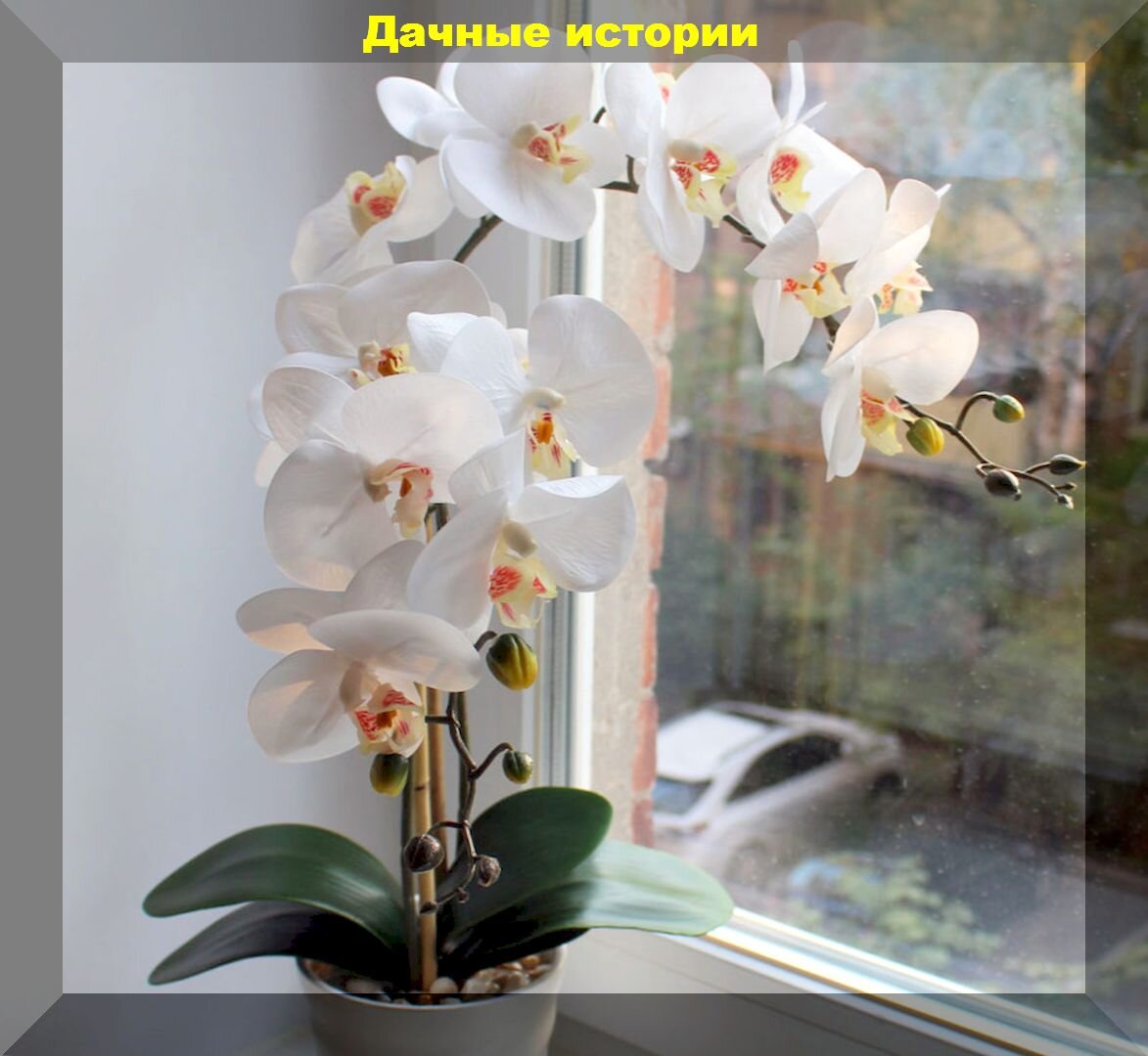 https://vk.com/photo-159774511_457245998