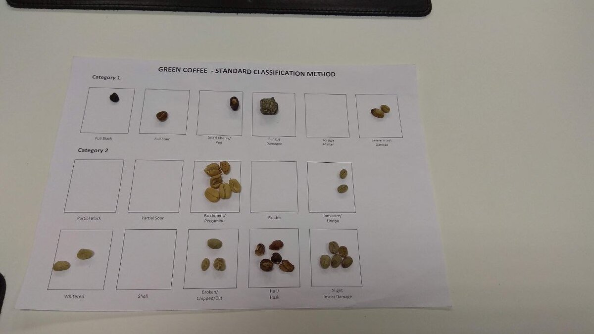 Раскладка найденных дефектов по бланку: Первичные и вторичные дефекты.