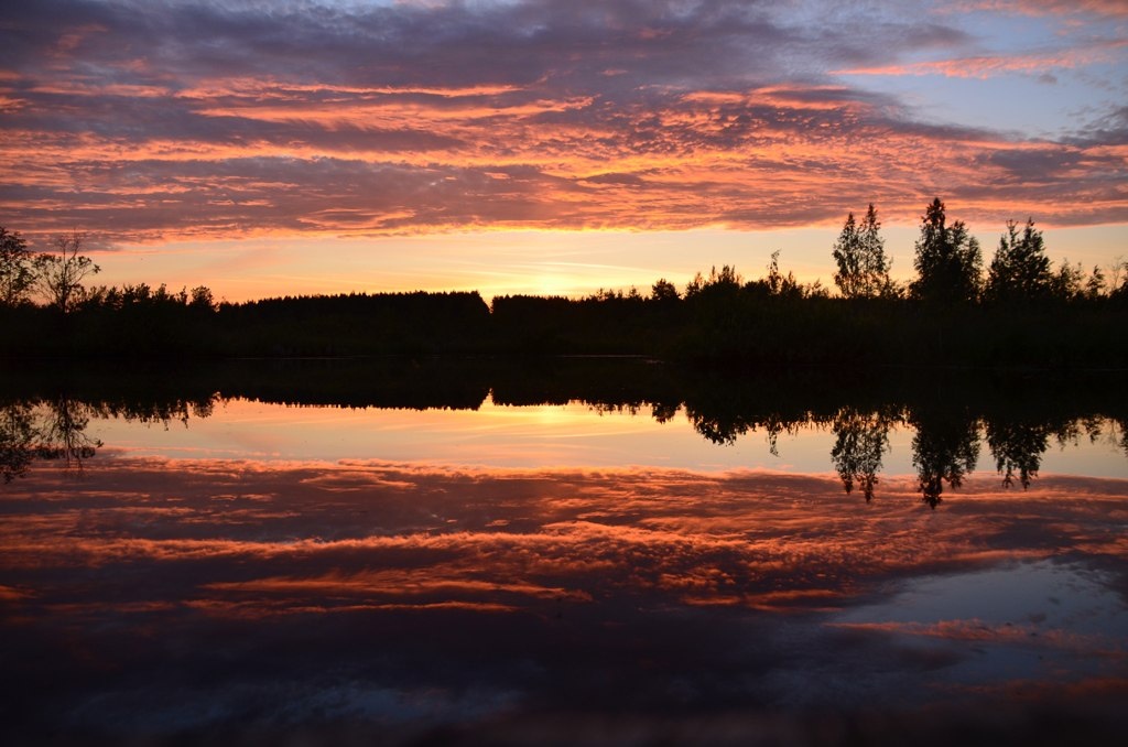 Фото автора.