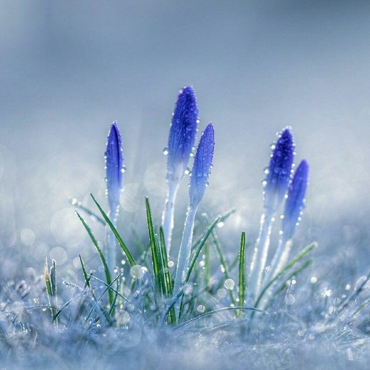 фото из Pinterest