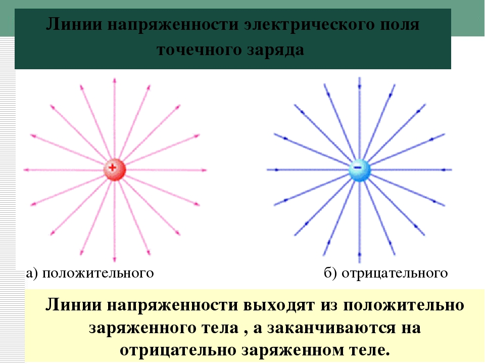 Поле точечного заряда рисунок. Линии напряженности электрического поля точечного заряда. Линии напряженности точечного заряда. Линии напряженности поля точечного положительного заряда. Линии напряженности отрицательного заряда.