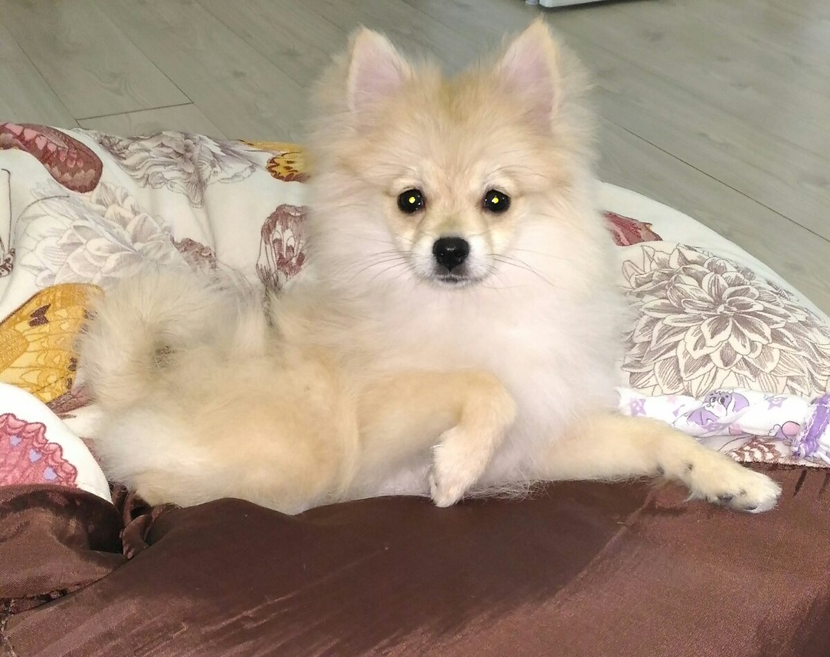 авторское фото Александра Григорьева.