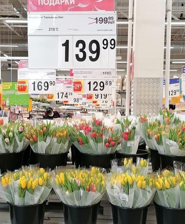 тюльпаны 8. сколько стоят тюльпаны в магните. сколько стоят тюльпаны в магните. сколько стоят тюльпаны в магните. тюльпаны в магазине лента.