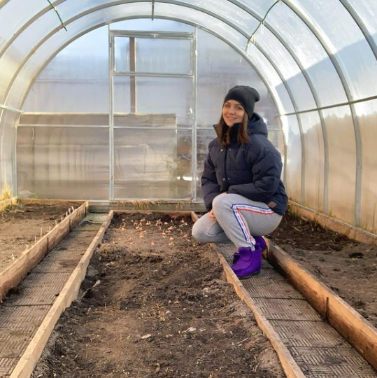 Какие сорта и растения можно сажать в теплице вместе