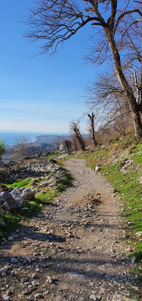 Вот по такой дорожке нужно подниматься вверх.
