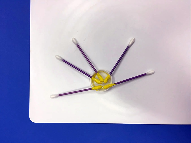 ...и оставим их высыхать