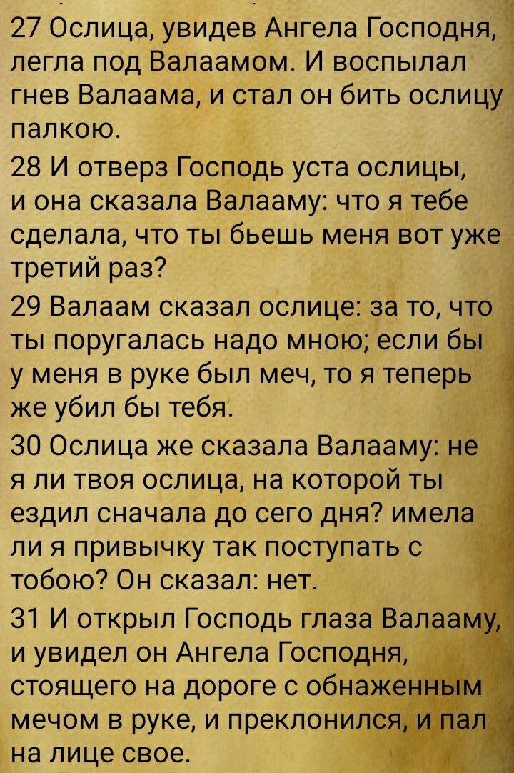 Числа глава 22 текст 27-31