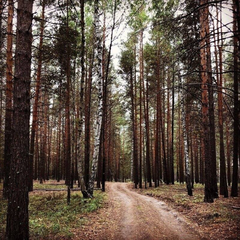 Фото https://www.instagram.com/p/CEj33D6HHUg/