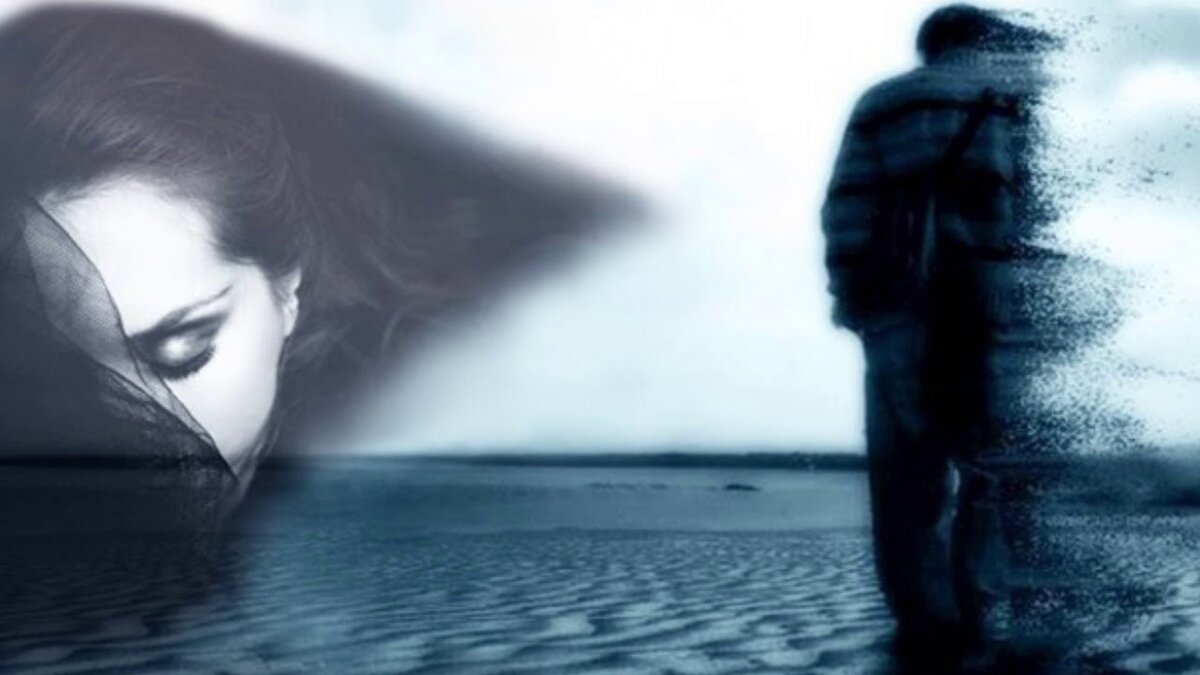 Картинка из публичного доступа интернета.