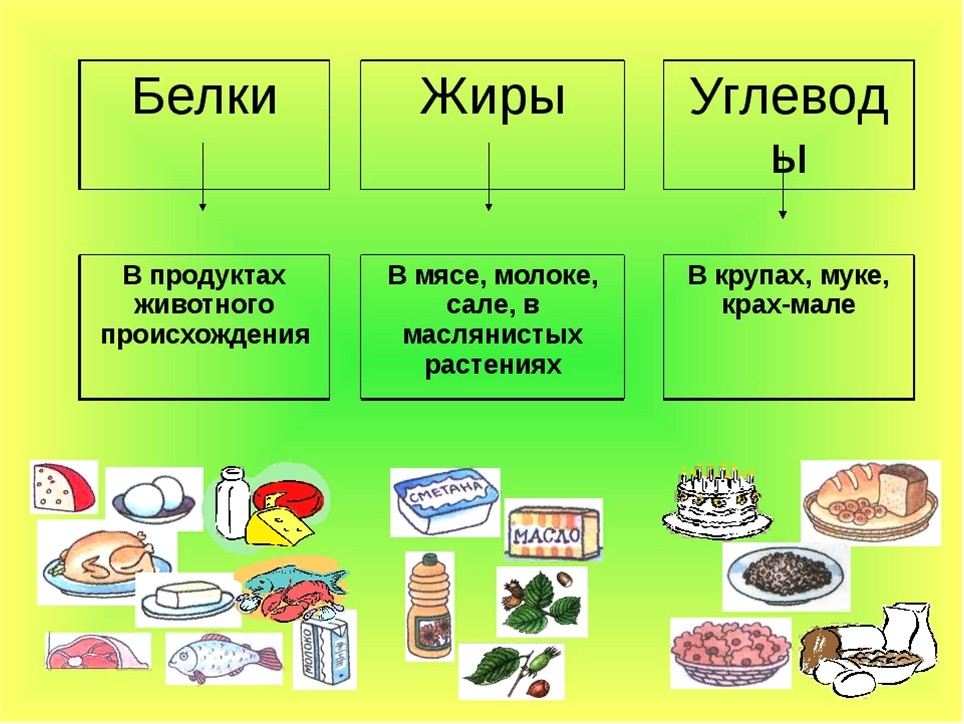 Цикл публикаций "Почему не получается похудеть?"